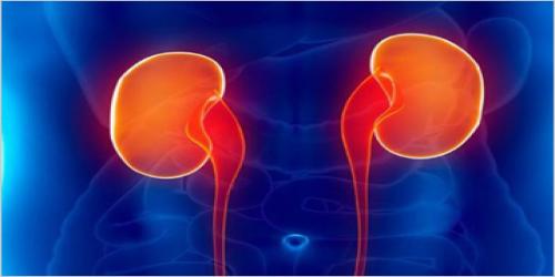 Department of Urology