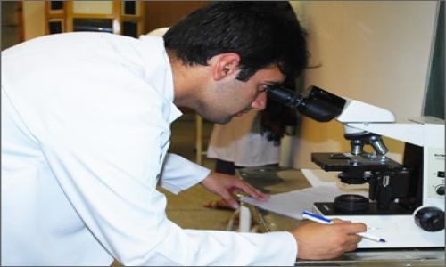 Bachelor of Medicine and Bachelor of Surgery (MBBS)