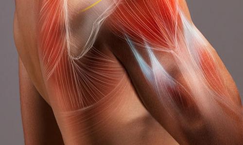 Fee Structure and Policy for MS PT Programs 2025-26