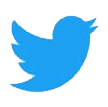 Twitter Icon