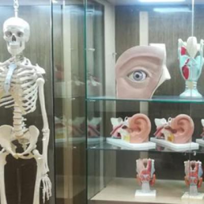 Anatomy Lab - Renovated and Upgraded